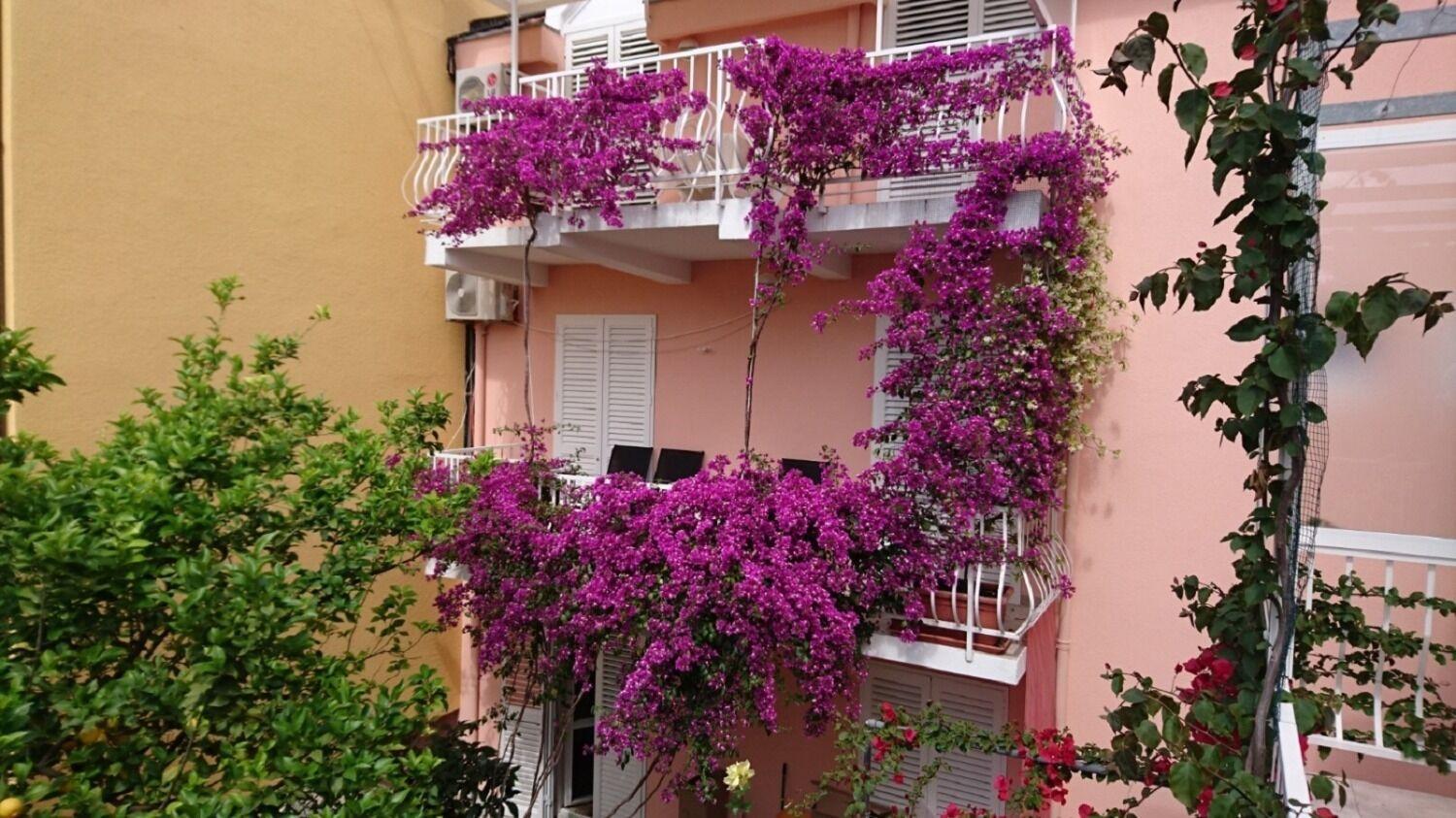 Apartments Ora Orebić Exterior foto